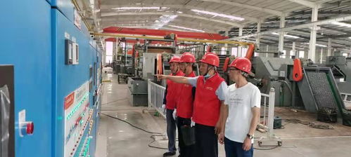 国网魏县供电公司 深化党建领航，以科技赋能助推优质服务与中介服务双提升